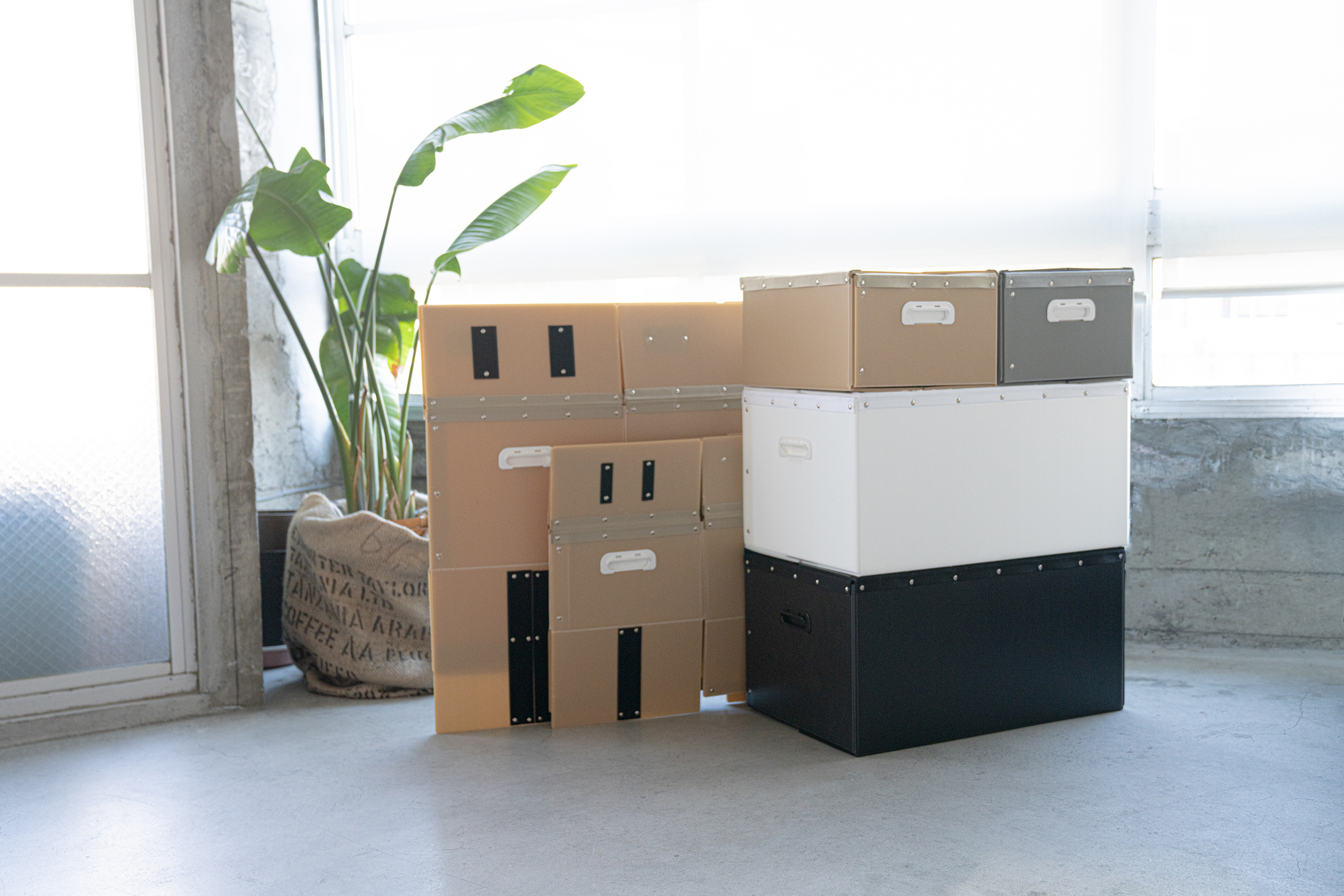 10年使えるダンボール箱「HAKO」