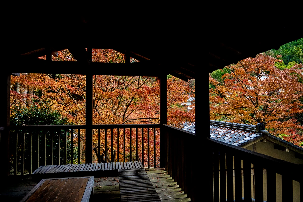秘窯の里・伊万里大川内山の紅葉。地域の美しい景観を切り取る観光プロモーション撮影